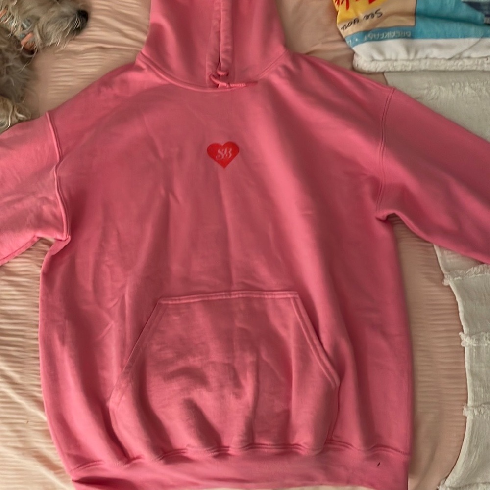 Pink Something Bigger Hoodie